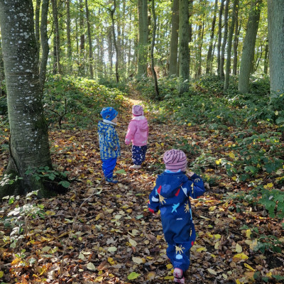 Wald vor der Tür