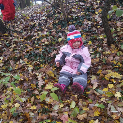 Herbst- Rutsche